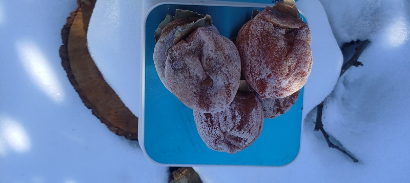 陕西富平柿饼