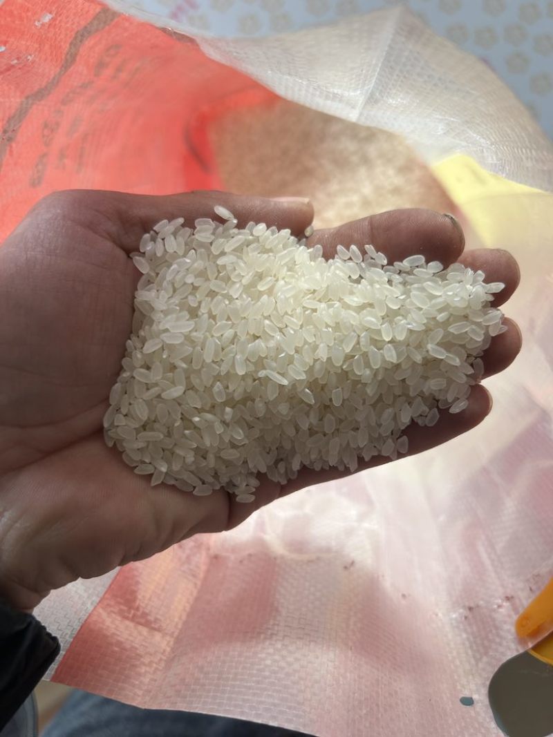新米，大米香米