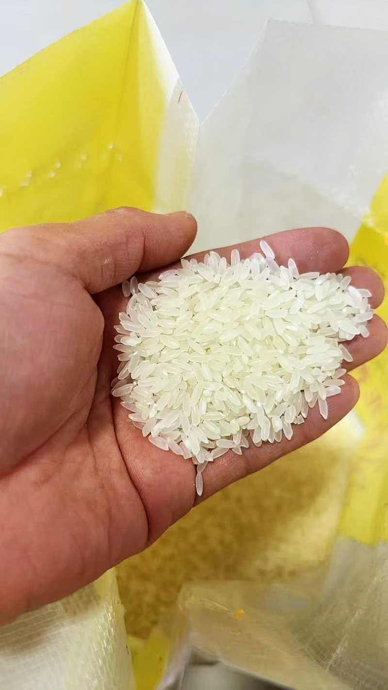 新米，大米香米