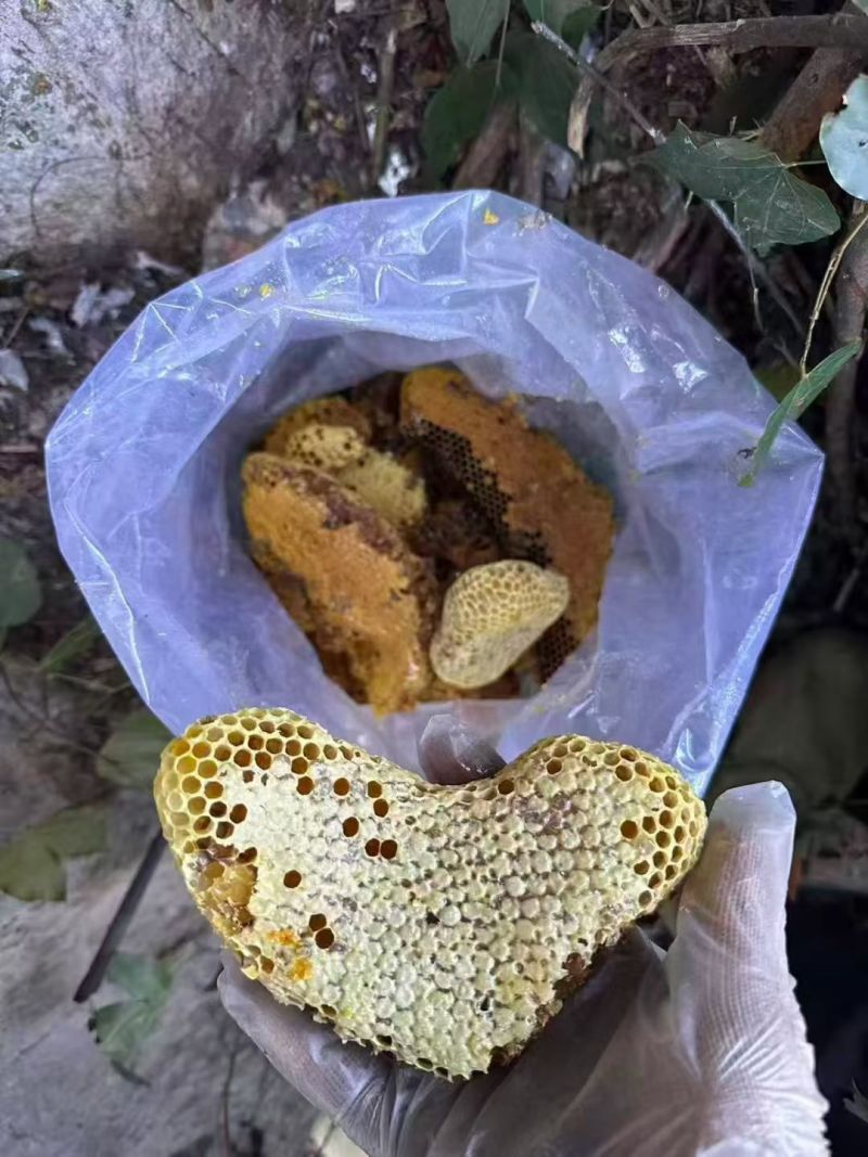 野生蜂蜜