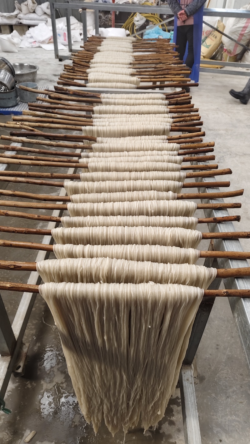 纯红薯粉条，零售13一斤，可零售，可批发