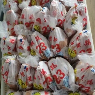 西装鸡，规格9.8公斤一件，15-35只装，带尾不带尾的都有