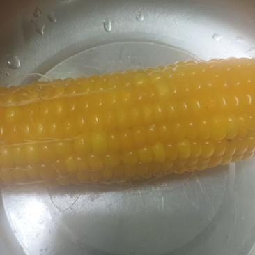 黏玉米