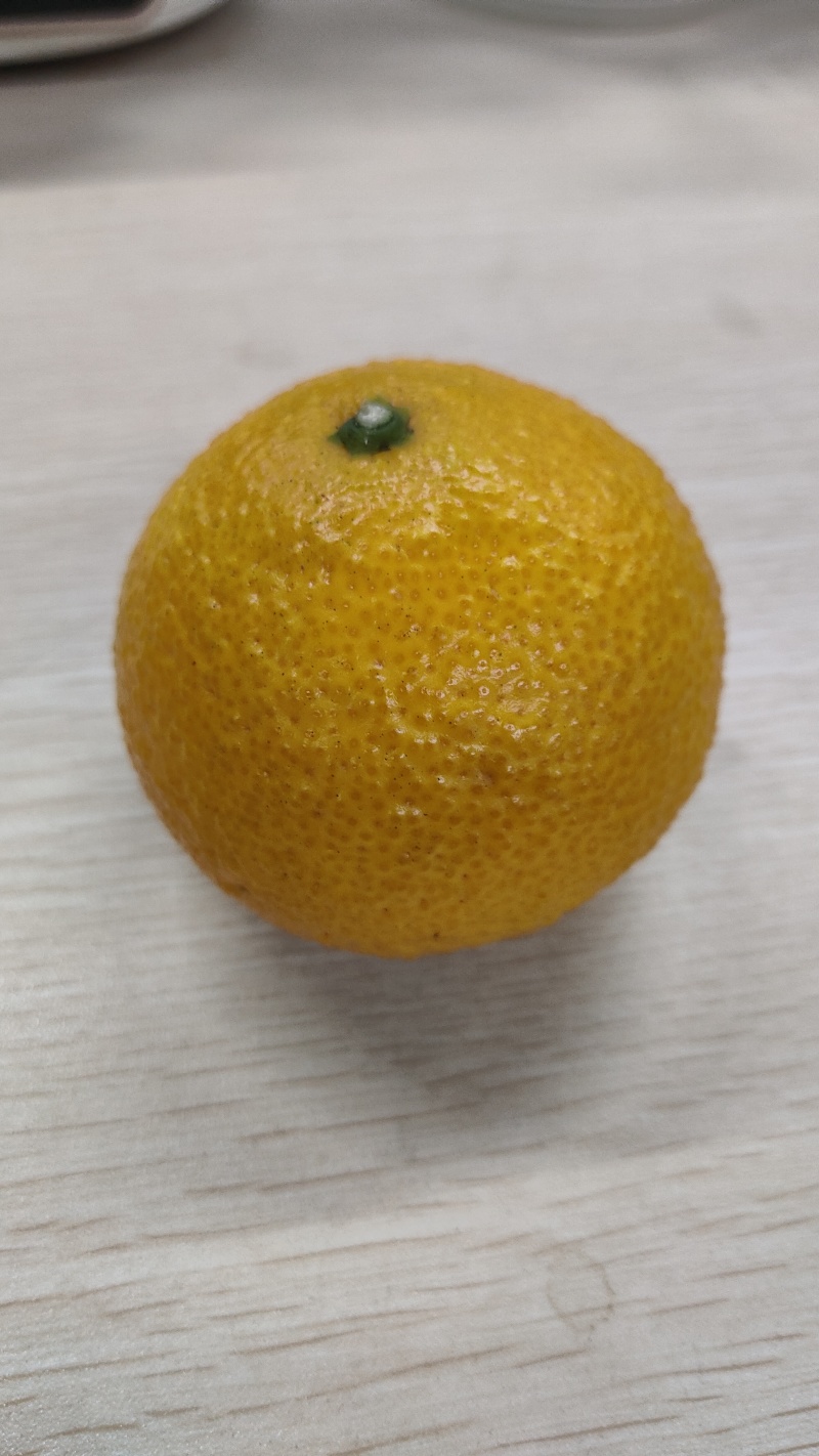 桔柚。中大果。