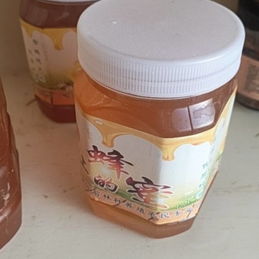 老蜂蜜