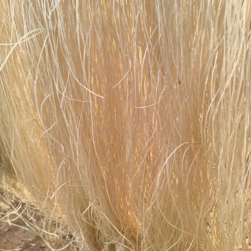 红薯粉条