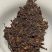 2005年中茶7572橙印老熟茶饼，干仓，不接受电商合作。