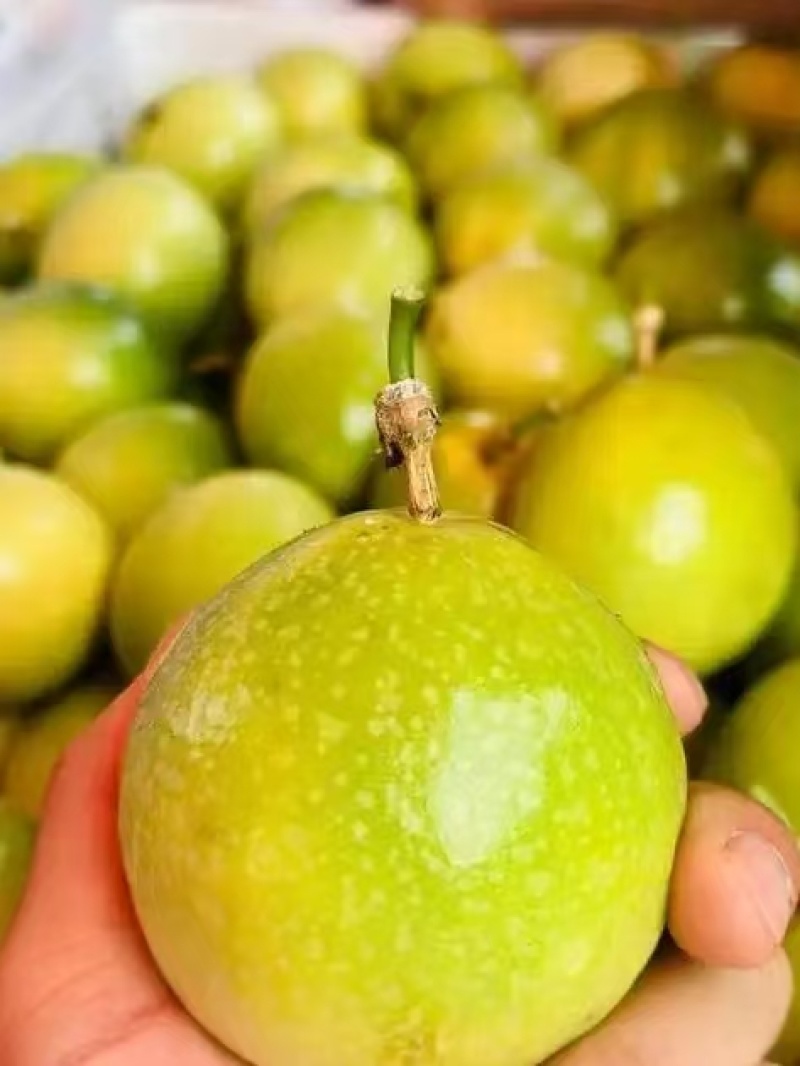 黄金百香果