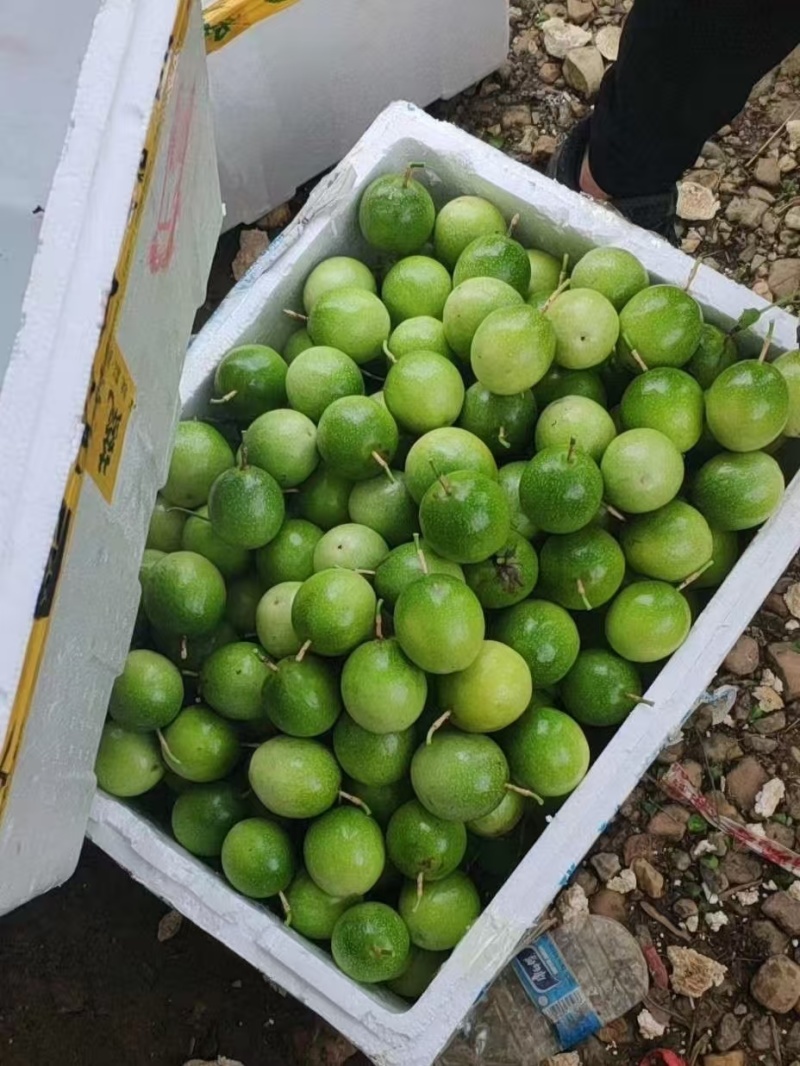 黄金百香果