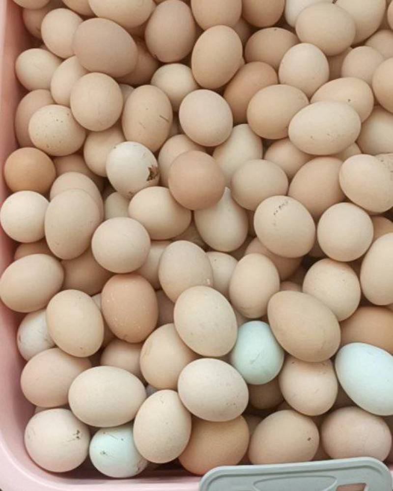 婆婆散养笨鸡蛋