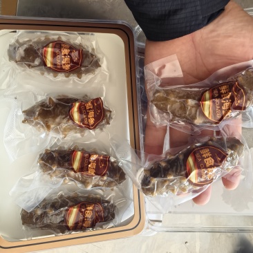 鲜食海参