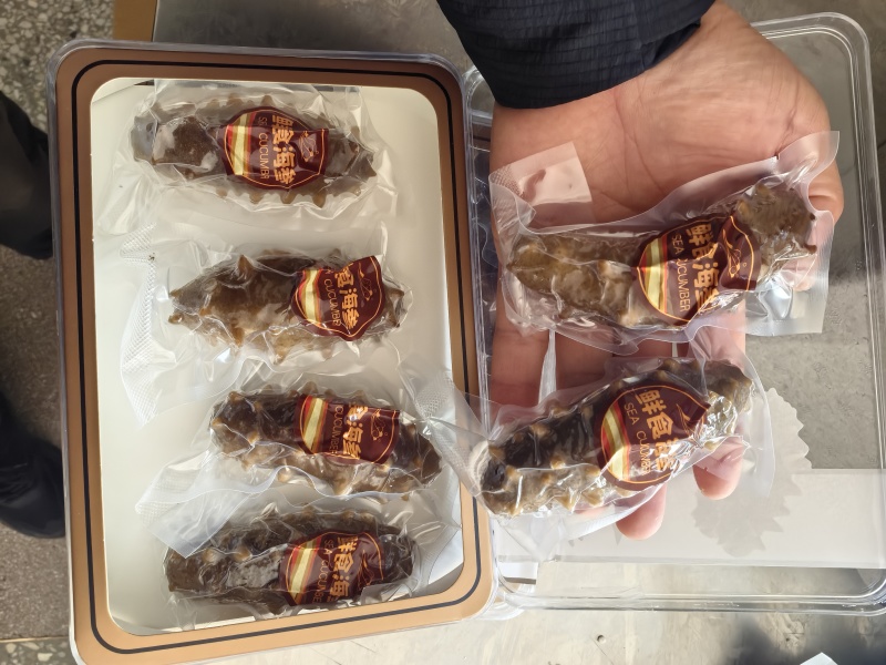 鲜食海参