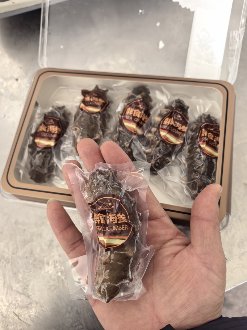 鲜食海参