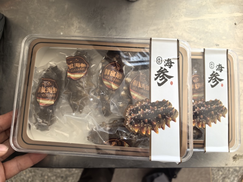 鲜食海参