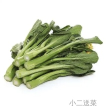 广东菜心