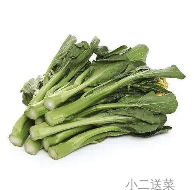 广东菜心