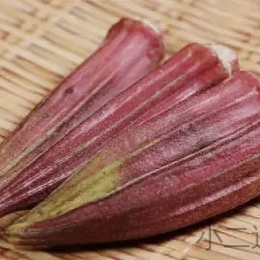 云南野菜海南秋葵
