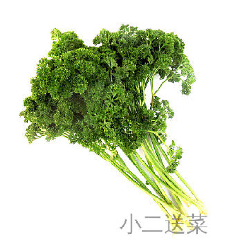 云南野菜法香