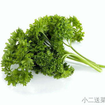 云南野菜法香