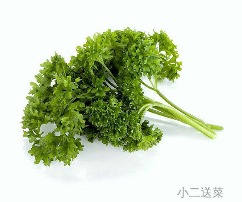 云南野菜法香