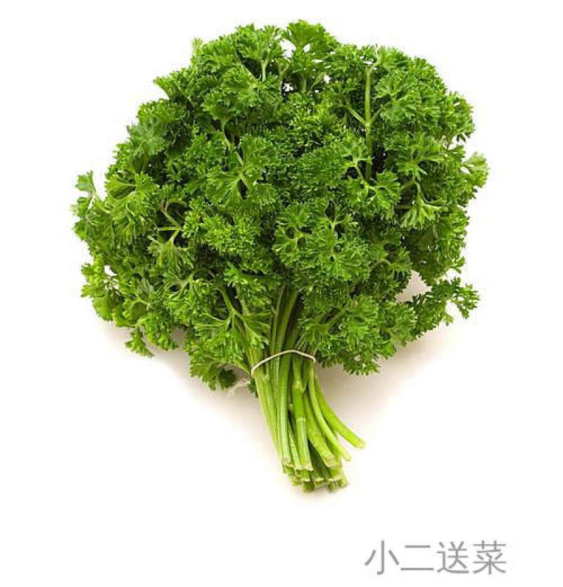 云南野菜法香