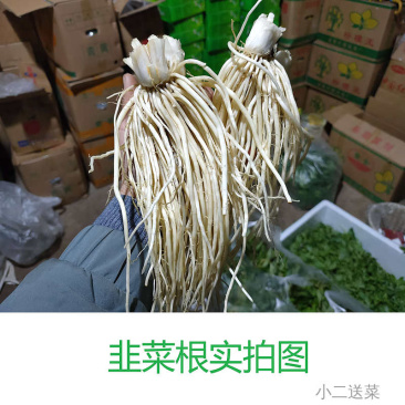 云南野菜韭菜根