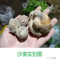 云南野菜沙姜