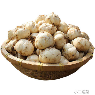 云南野菜百合中号带泥散装