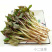 云南野菜折耳根叶
