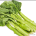 云南野菜广东芥蓝