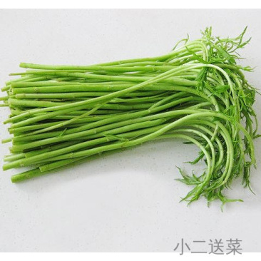 云南野菜藜蒿