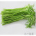 云南野菜藜蒿