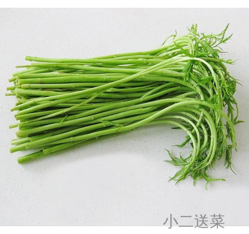 云南野菜藜蒿