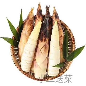 云南野菜新鲜春笋