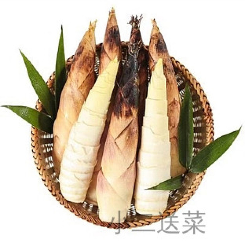 云南野菜新鲜春笋