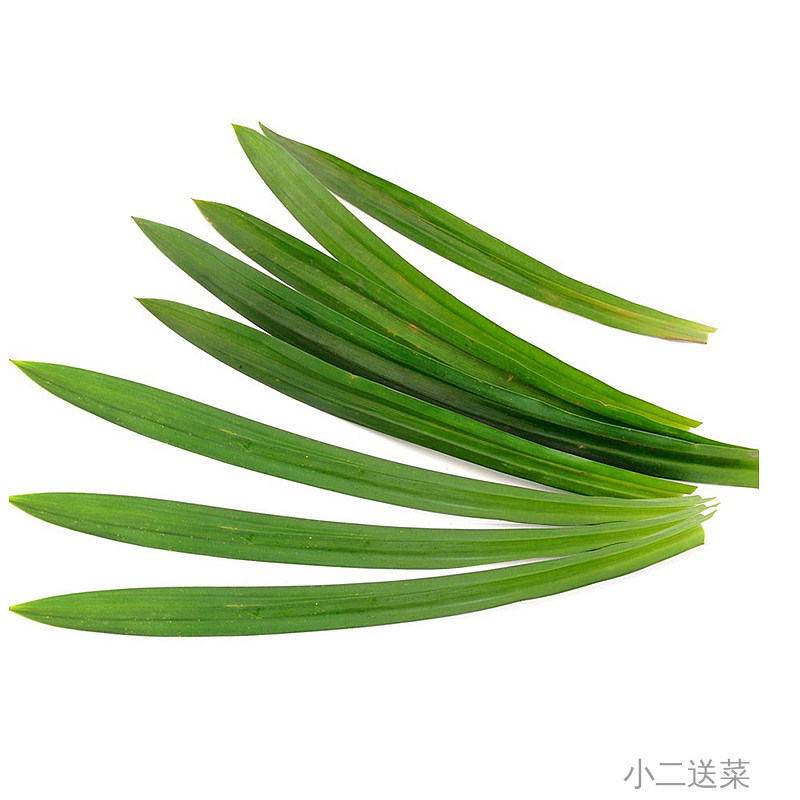 云南野菜香兰叶