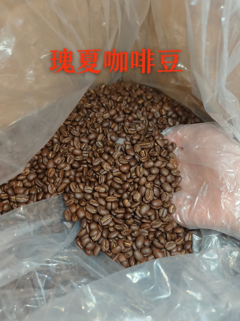 云南小粒咖啡，保山小粒咖啡，庄园咖啡豆，铁皮卡咖啡豆