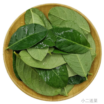云南香水柠檬叶