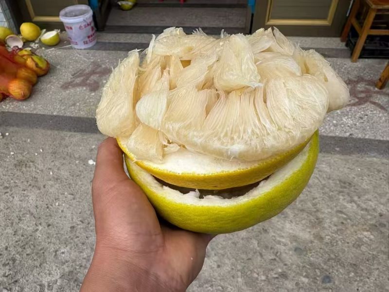 江永30年老树柚子