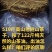 正宗野生山茶油