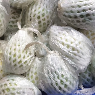 **脆，**好吃，**甜番石榴