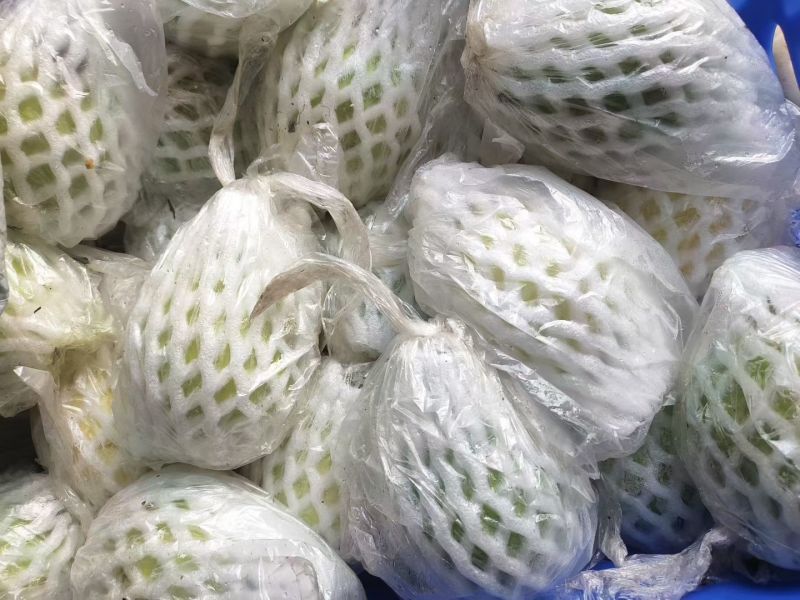 **脆，**好吃，**甜番石榴
