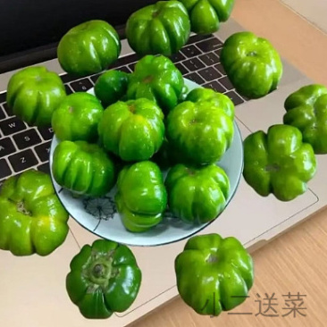 云南苦果