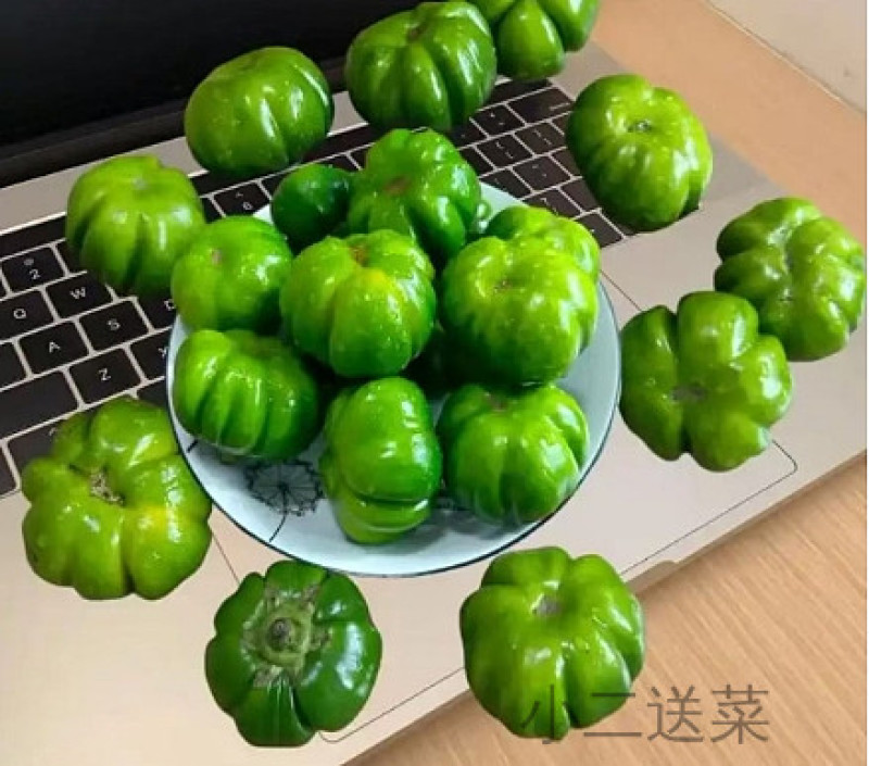 云南苦果
