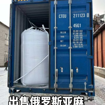 出售俄罗斯亚麻籽