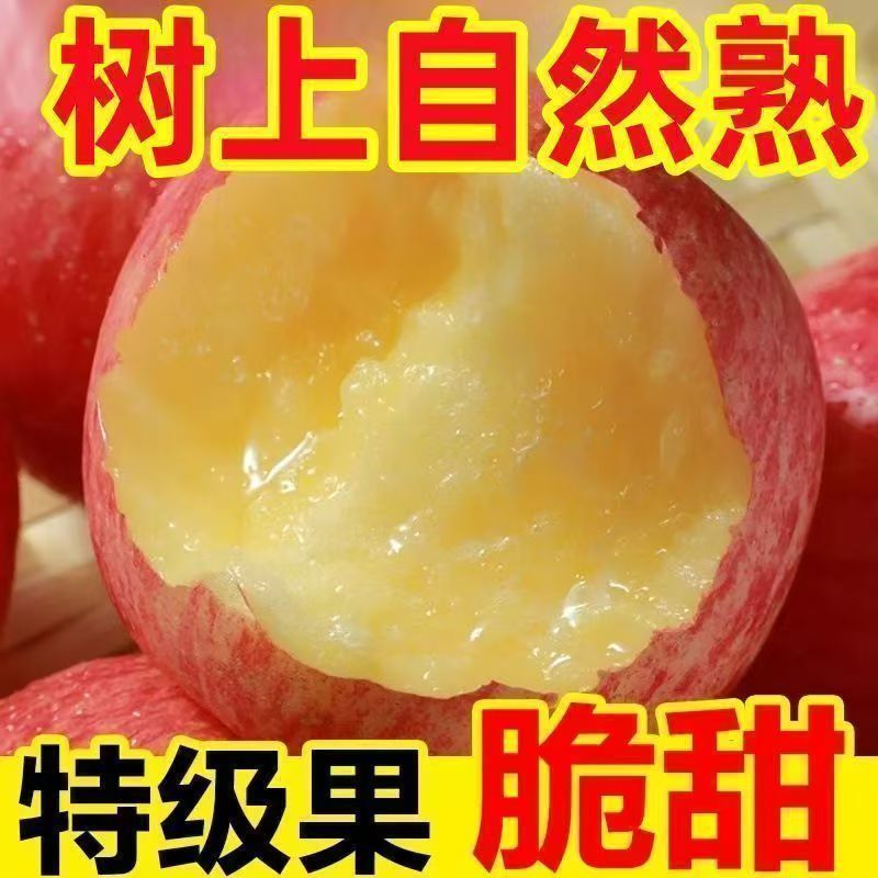 【特级】正宗陕西红富士苹果水果应季新鲜脆甜冰糖心苹果整