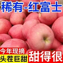 【特级】正宗陕西红富士苹果水果应季新鲜脆甜冰糖心苹果整