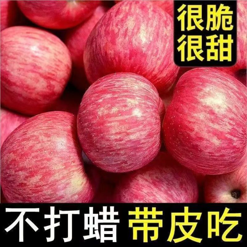 【特级】正宗陕西红富士苹果水果应季新鲜脆甜冰糖心苹果整