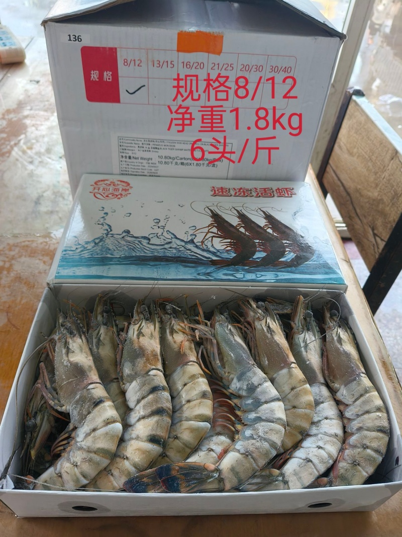 印度黑虎