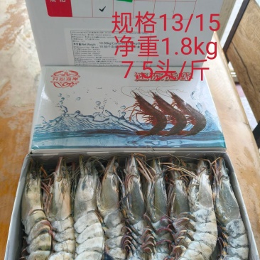 印度黑虎